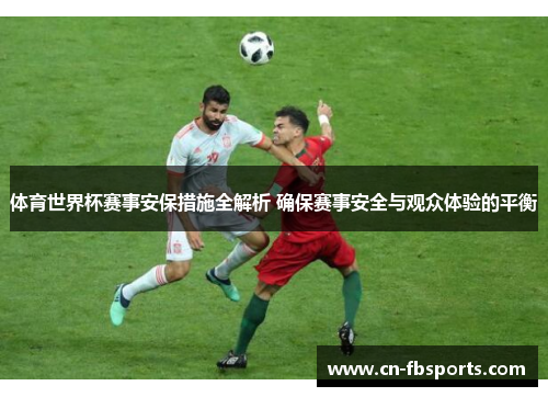 体育世界杯赛事安保措施全解析 确保赛事安全与观众体验的平衡