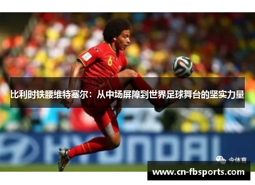 比利时铁腰维特塞尔：从中场屏障到世界足球舞台的坚实力量