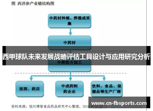 西甲球队未来发展战略评估工具设计与应用研究分析