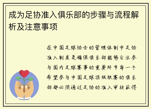 成为足协准入俱乐部的步骤与流程解析及注意事项